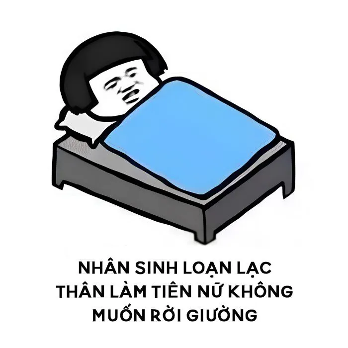 210+ meme buồn ngủ cực hài, ai nhìn cũng phải gật gù 210+ meme buồn ngủ cực hài, ai nhìn cũng phải gật gù