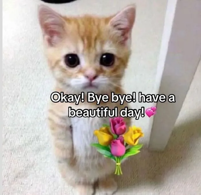 Top 99+ meme bye hài hước, xua tan mọi buồn phiền tức thì