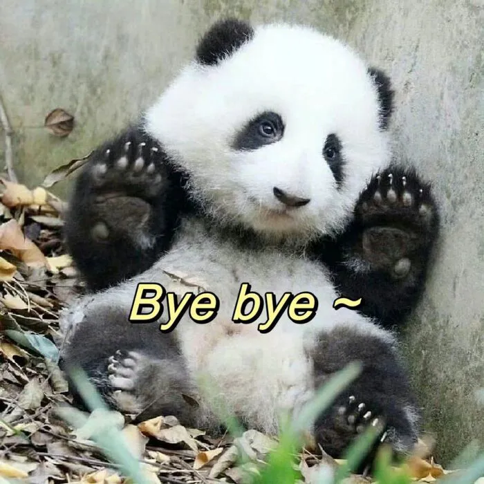 Top 99+ meme bye hài hước, xua tan mọi buồn phiền tức thì Top 99+ meme bye hài hước, xua tan mọi buồn phiền tức thì