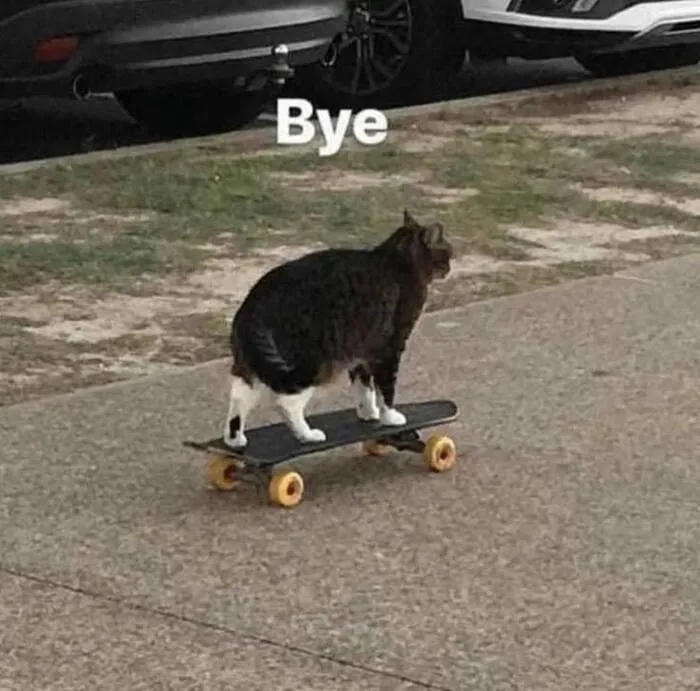Top 99+ meme bye hài hước, xua tan mọi buồn phiền tức thì Top 99+ meme bye hài hước, xua tan mọi buồn phiền tức thì