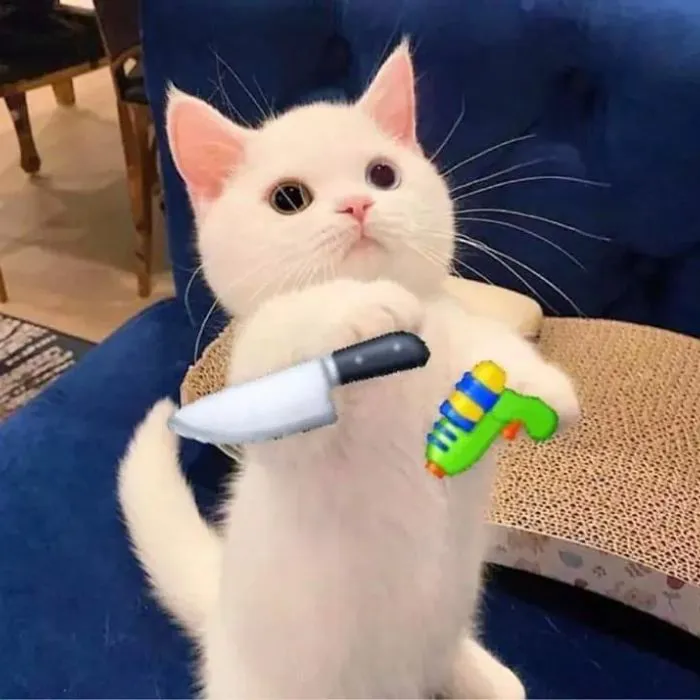 Khám phá 98+ meme cầm dao hài hước, độc đáo nhất hiện nay