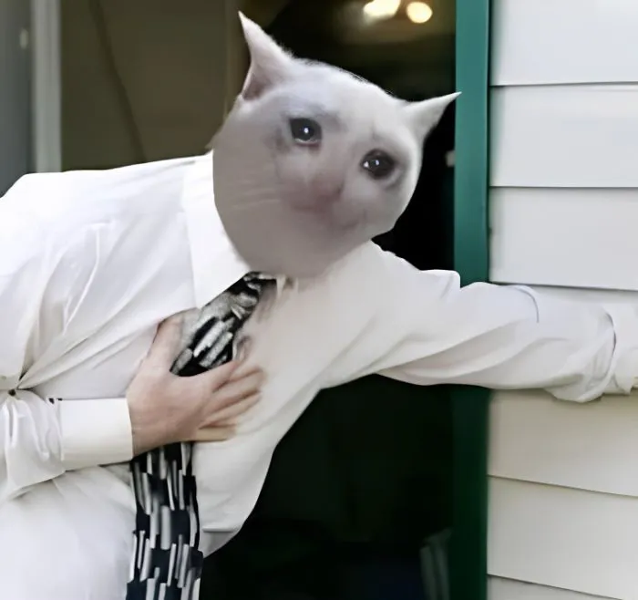 Khám phá 245+ meme cảm động lay động trái tim người xem