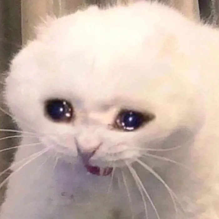 Khám phá 245+ meme cảm động lay động trái tim người xem