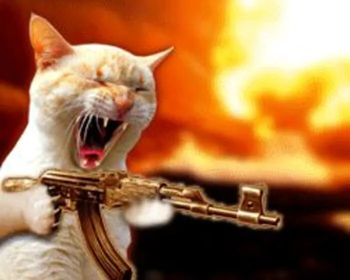Tuyển tập meme cầm súng hài hước 150+ khiến bạn cười nghiêng ngả Tuyển tập meme cầm súng hài hước 150+ khiến bạn cười nghiêng ngả