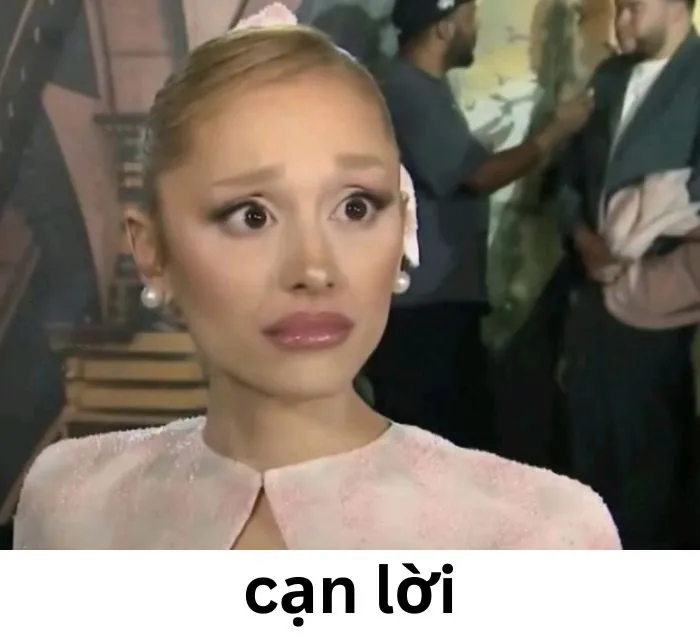 168+ meme cạn lời khiến bạn cười xỉu và suy ngẫm