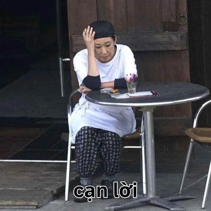 168+ meme cạn lời khiến bạn cười xỉu và suy ngẫm