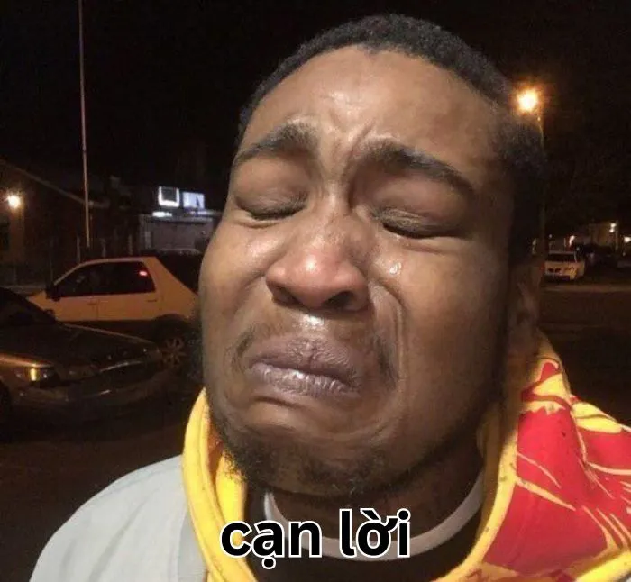 168+ meme cạn lời khiến bạn cười xỉu và suy ngẫm