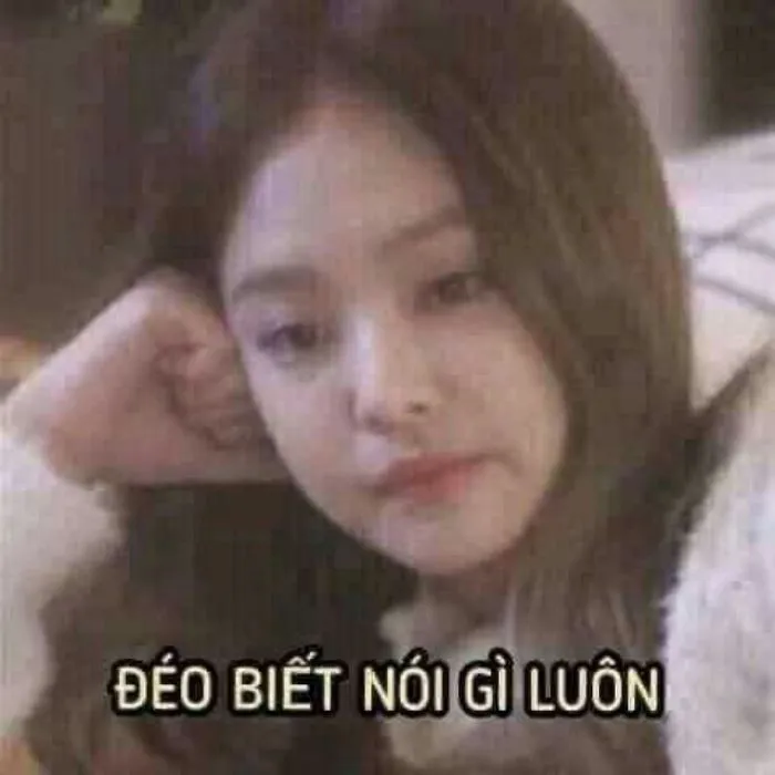 168+ meme cạn lời khiến bạn cười xỉu và suy ngẫm