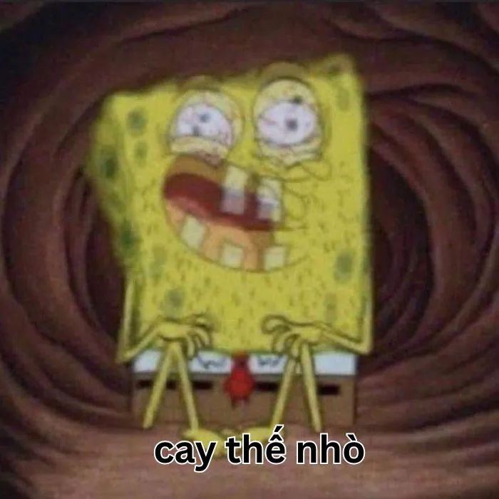 Tuyển tập 97+ meme cay cú, hài hước khiến bạn không nhịn được cười