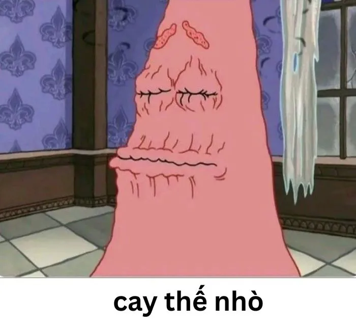 Tuyển tập 97+ meme cay cú, hài hước khiến bạn không nhịn được cười