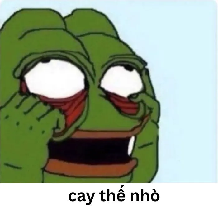 Tuyển tập 97+ meme cay cú, hài hước khiến bạn không nhịn được cười