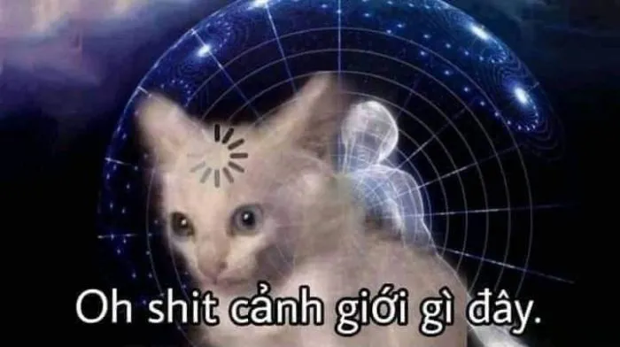 Tuyển tập 97+ meme cay cú, hài hước khiến bạn không nhịn được cười