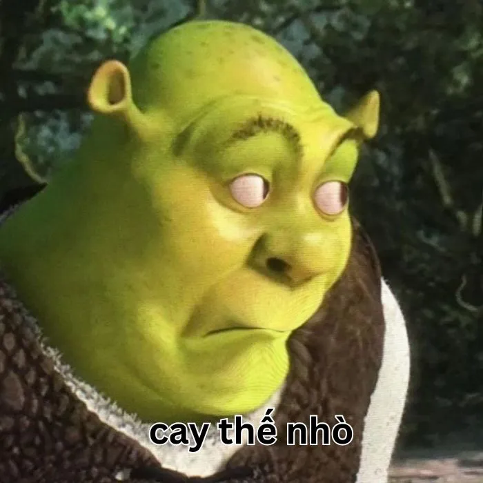 Tuyển tập 97+ meme cay cú, hài hước khiến bạn không nhịn được cười