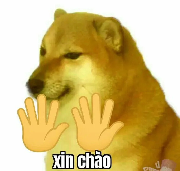 Kho meme chào độc đáo: Hơn 150+ ảnh cười thả ga