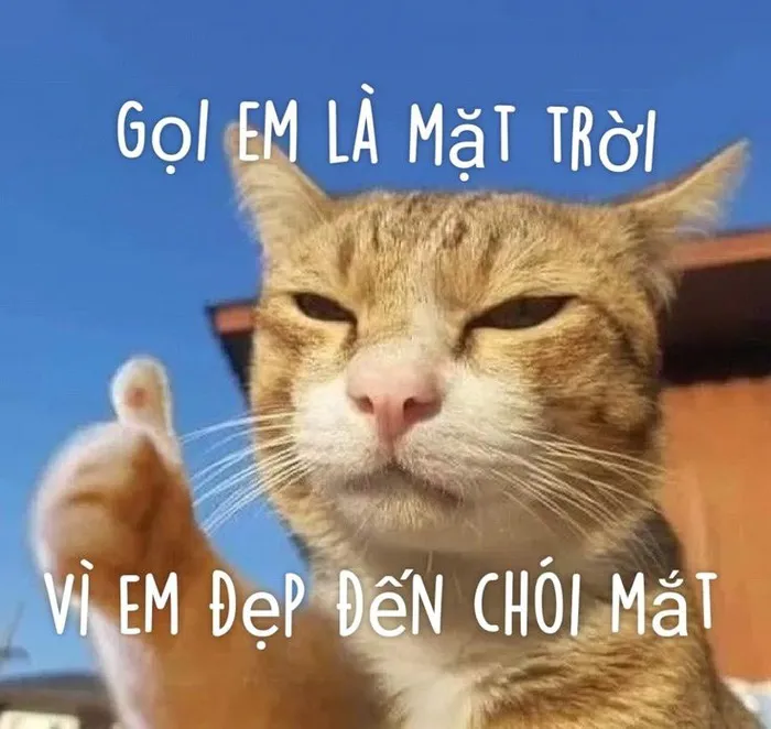 Tuyển tập 145+ meme chào buổi sáng hài hước nhất