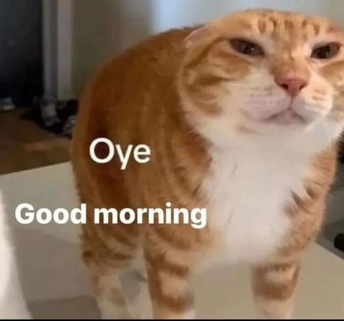 Tuyển tập 145+ meme chào buổi sáng hài hước nhất