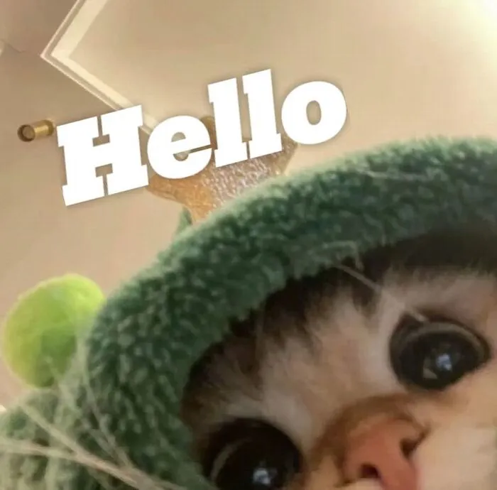 Kho meme chào độc đáo: Hơn 150+ ảnh cười thả ga