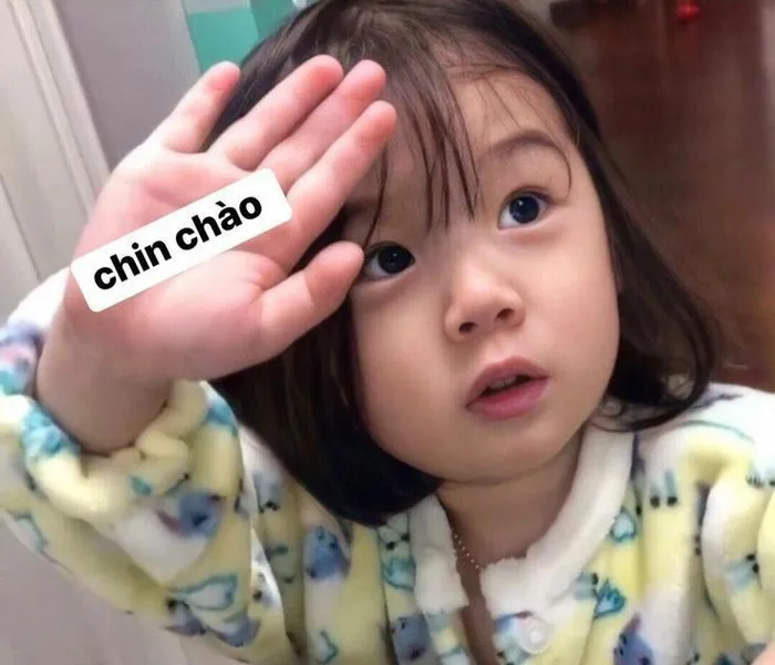Kho meme chào độc đáo: Hơn 150+ ảnh cười thả ga