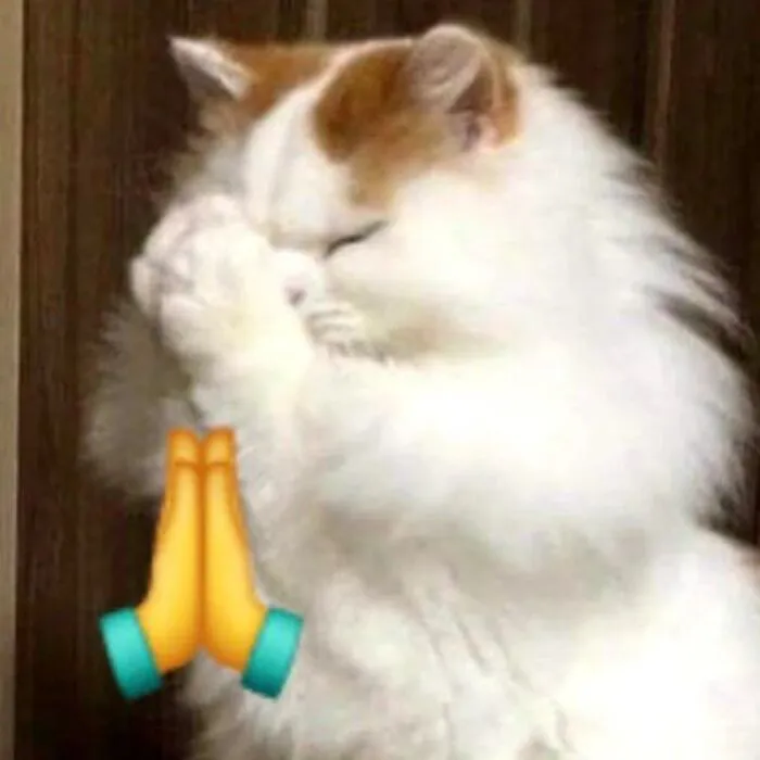 108+ meme chế độc đáo, hài hước bạn không thể bỏ lỡ 108+ meme chế độc đáo, hài hước bạn không thể bỏ lỡ