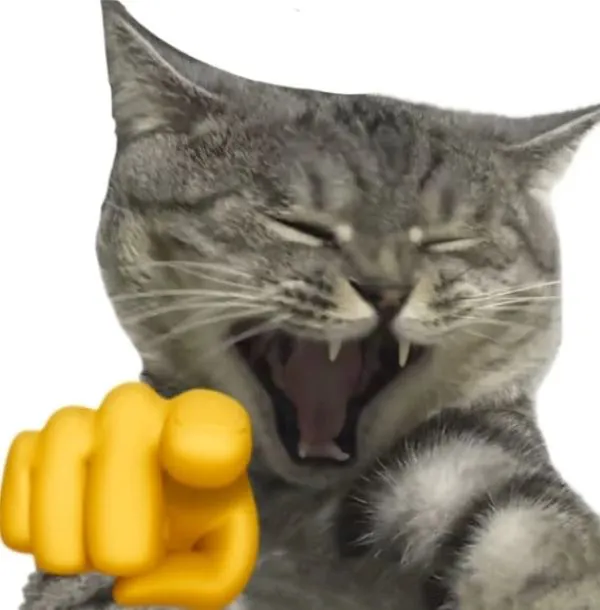 Tổng hợp 108+ meme chỉ tay hài hước, độc đáo nhất Tổng hợp 108+ meme chỉ tay hài hước, độc đáo nhất