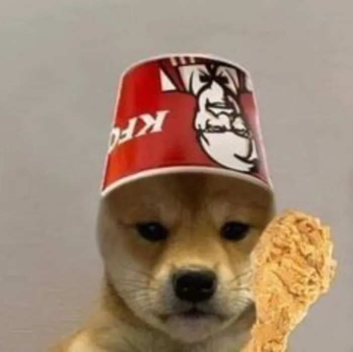 Tuyển tập 238+ meme chó hài hước, độc đáo nhất