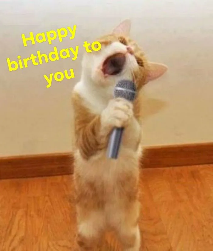 Tuyển chọn 99+ meme chúc mừng sinh nhật hài hước, độc đáo nhất Tuyển chọn 99+ meme chúc mừng sinh nhật hài hước, độc đáo nhất