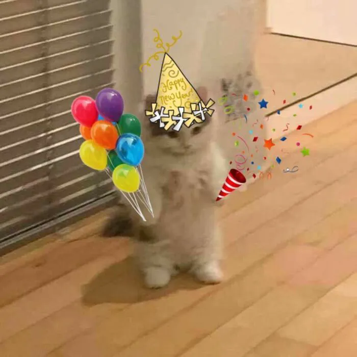 Tuyển chọn 99+ meme chúc mừng sinh nhật hài hước, độc đáo nhất Tuyển chọn 99+ meme chúc mừng sinh nhật hài hước, độc đáo nhất
