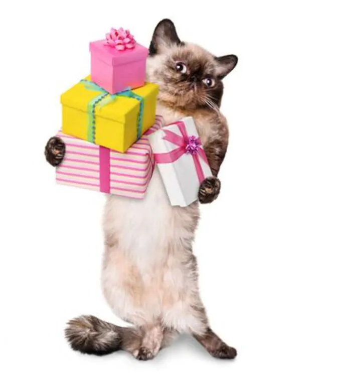 Tuyển chọn 99+ meme chúc mừng sinh nhật hài hước, độc đáo nhất Tuyển chọn 99+ meme chúc mừng sinh nhật hài hước, độc đáo nhất