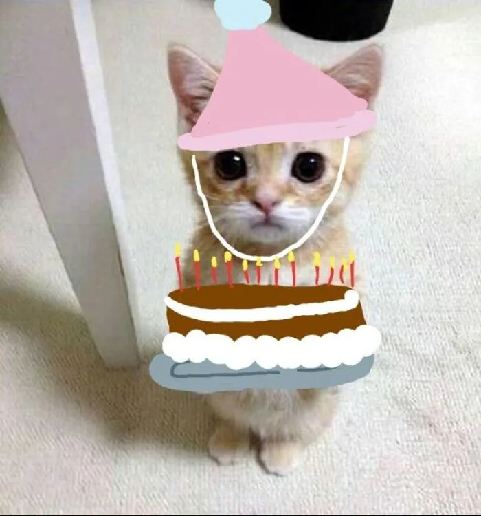 Tuyển chọn 99+ meme chúc mừng sinh nhật hài hước, độc đáo nhất Tuyển chọn 99+ meme chúc mừng sinh nhật hài hước, độc đáo nhất