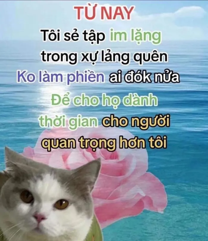 Tổng hợp 189+ meme chửi hài hước khiến bạn cười ra nước mắt