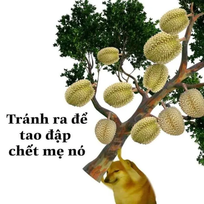 Tổng hợp 189+ meme chửi hài hước khiến bạn cười ra nước mắt