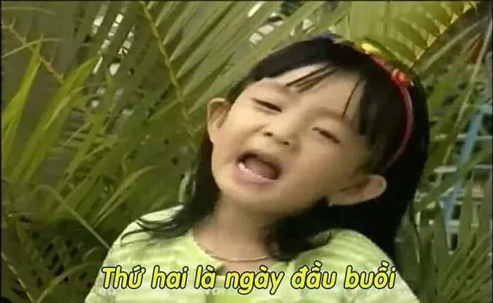 Tổng hợp 189+ meme chửi hài hước khiến bạn cười ra nước mắt