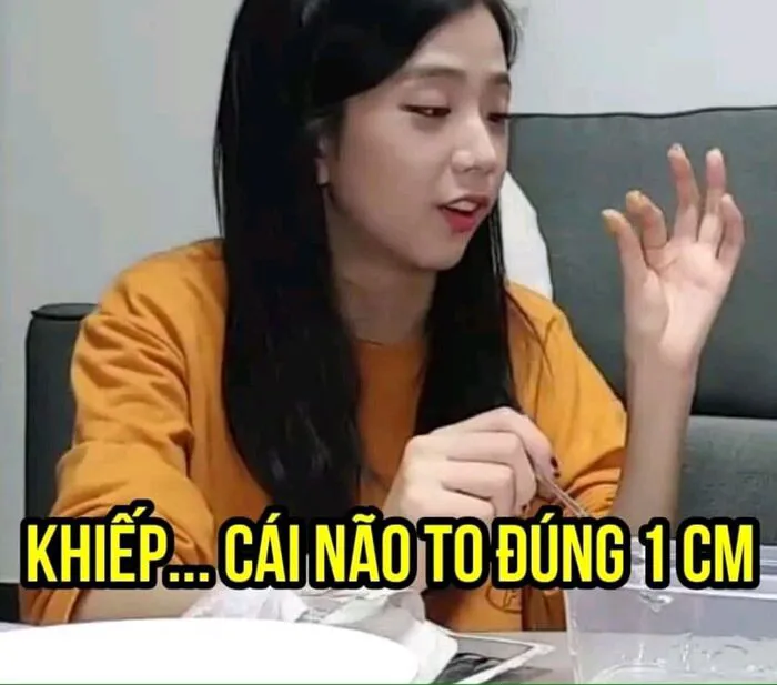 Tổng hợp 189+ meme chửi hài hước khiến bạn cười ra nước mắt