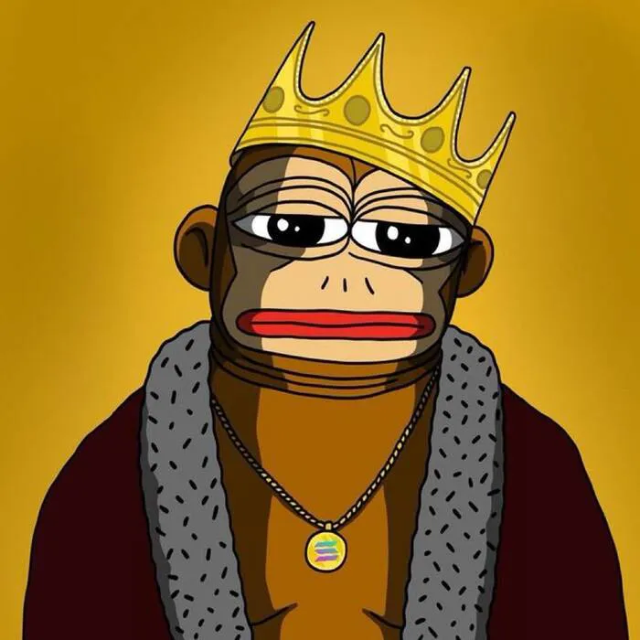 Khám phá 180+ meme coin độc đáo: Cơ hội hay rủi ro cho nhà đầu tư? Khám phá 180+ meme coin độc đáo: Cơ hội hay rủi ro cho nhà đầu tư?