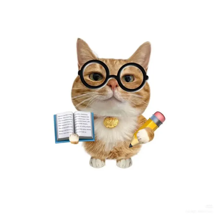 Khám phá 98+ meme con mèo hài hước nhất mọi thời đại