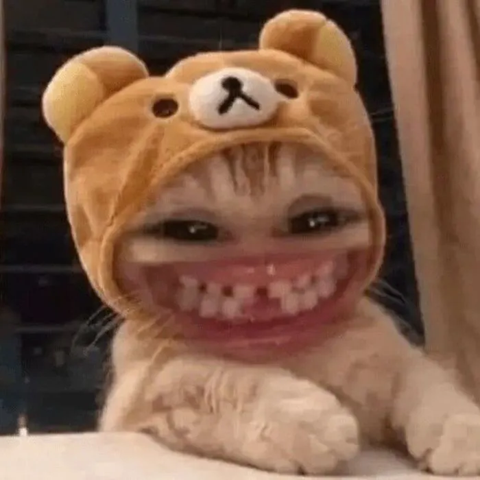 Meme cười lan tỏa niềm vui: 238+ ảnh hài hước nhất bạn cần xem Meme cười lan tỏa niềm vui: 238+ ảnh hài hước nhất bạn cần xem