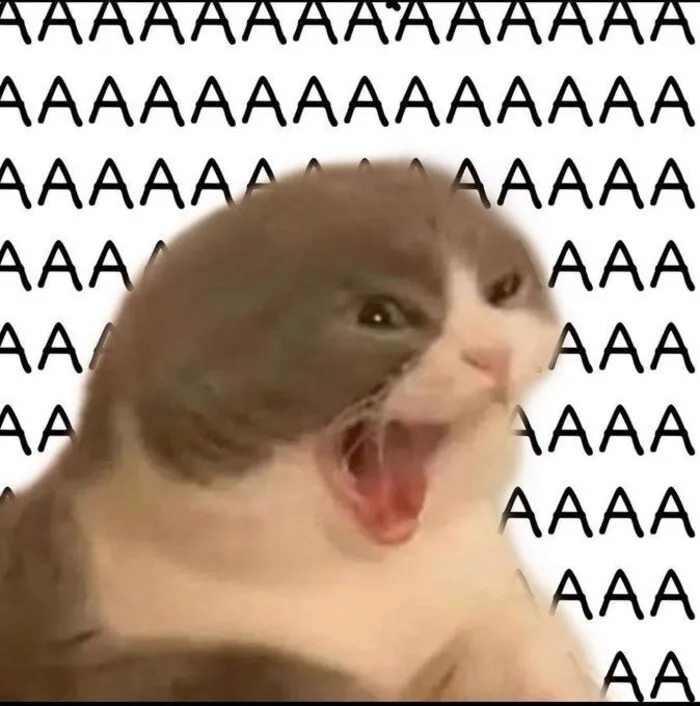 Meme cười đểu: Tuyển tập 99+ biểu cảm hài hước khó đỡ Meme cười đểu: Tuyển tập 99+ biểu cảm hài hước khó đỡ