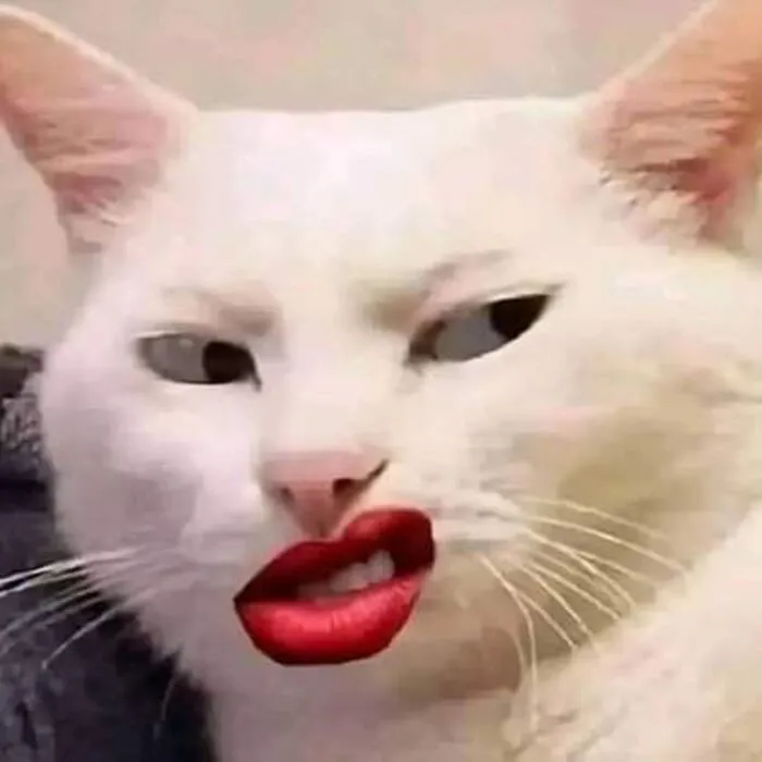 Meme cười đểu: Tuyển tập 99+ biểu cảm hài hước khó đỡ Meme cười đểu: Tuyển tập 99+ biểu cảm hài hước khó đỡ