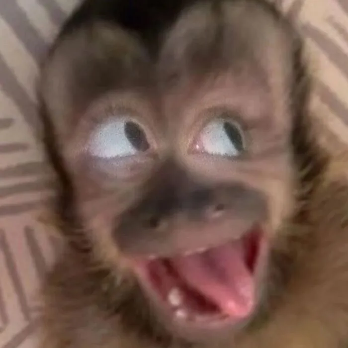 Meme cười đểu: Tuyển tập 99+ biểu cảm hài hước khó đỡ Meme cười đểu: Tuyển tập 99+ biểu cảm hài hước khó đỡ