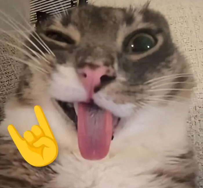 Meme cười đểu: Tuyển tập 99+ biểu cảm hài hước khó đỡ Meme cười đểu: Tuyển tập 99+ biểu cảm hài hước khó đỡ