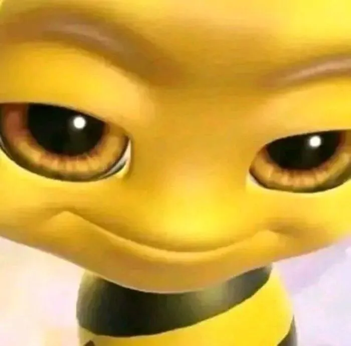 Meme cười lan tỏa niềm vui: 238+ ảnh hài hước nhất bạn cần xem Meme cười lan tỏa niềm vui: 238+ ảnh hài hước nhất bạn cần xem