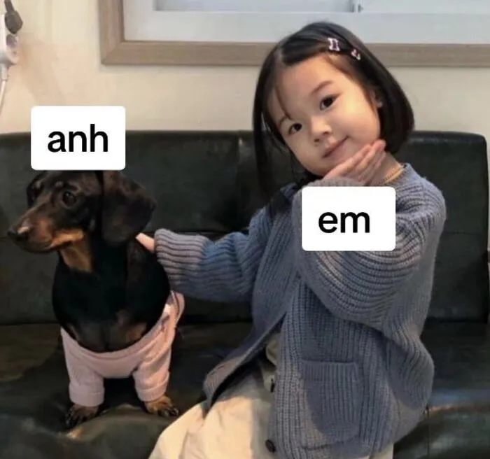Tuyển tập 137+ meme đáng yêu, hài hước làm tan chảy trái tim