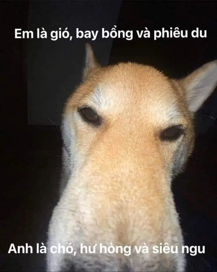 Tuyển tập 137+ meme đáng yêu, hài hước làm tan chảy trái tim