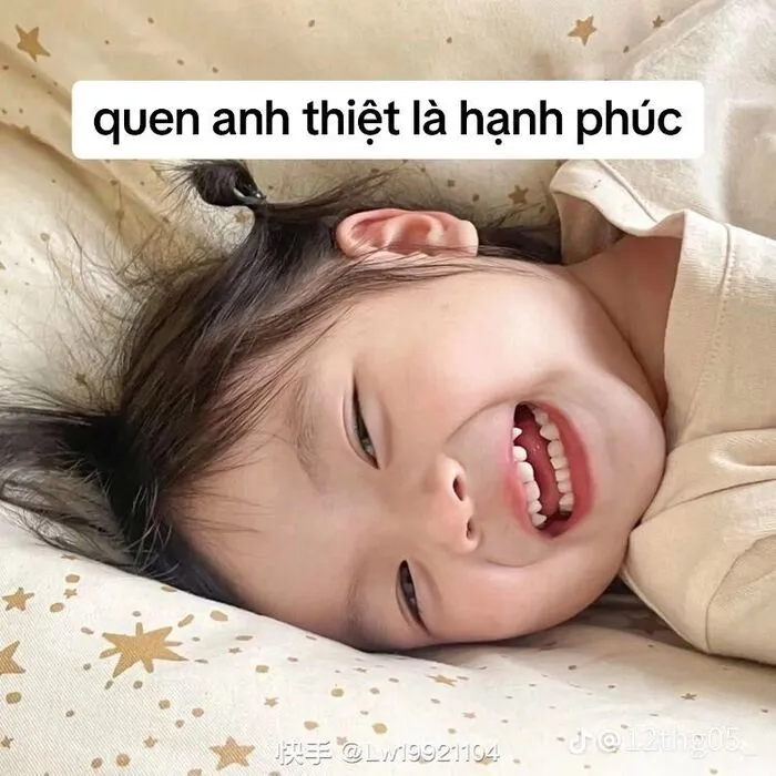 Tuyển tập 137+ meme đáng yêu, hài hước làm tan chảy trái tim
