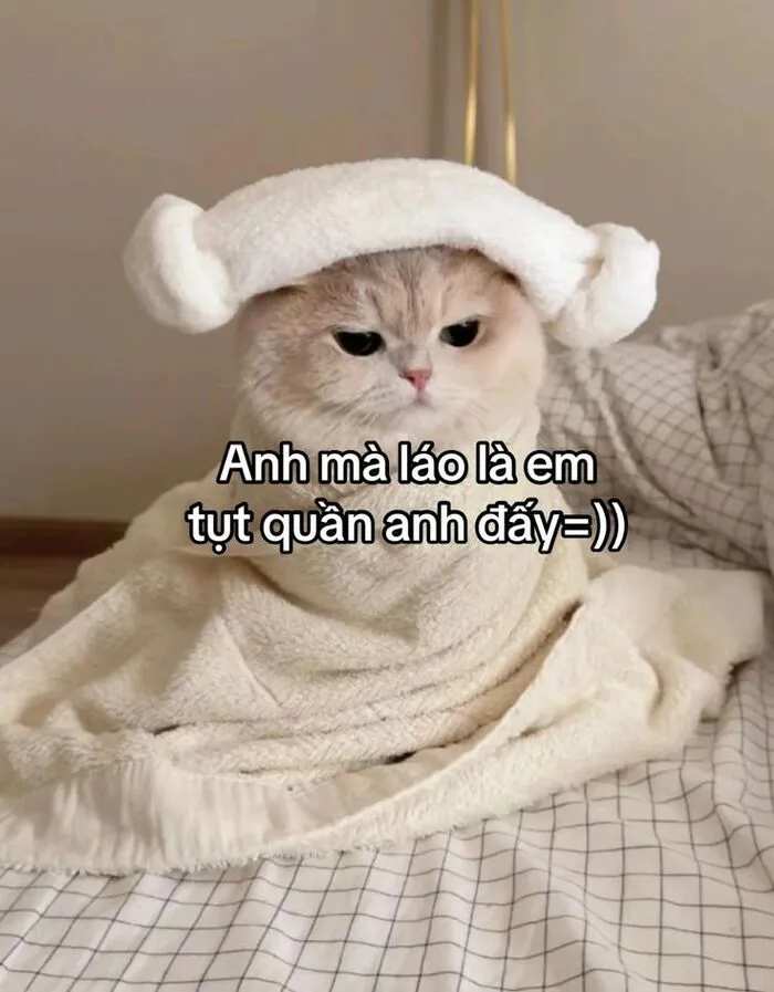 Tuyển tập 137+ meme đáng yêu, hài hước làm tan chảy trái tim