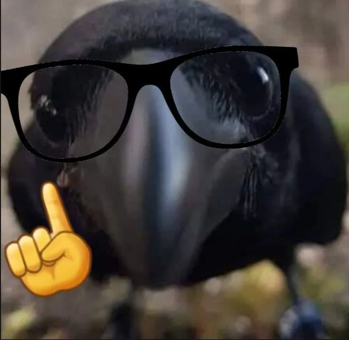 Hơn 120+ meme dark độc đáo, hài hước bạn không thể bỏ lỡ
