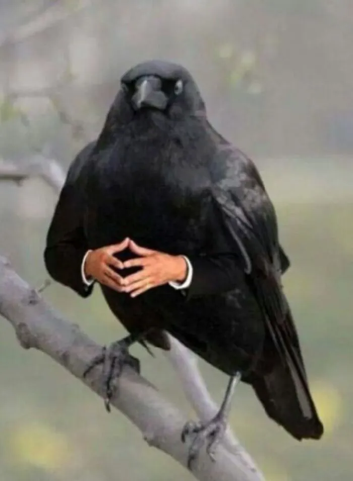 Hơn 120+ meme dark độc đáo, hài hước bạn không thể bỏ lỡ