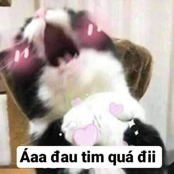 Khám phá loạt meme đau tim 108+ khiến bạn cười ra nước mắt Khám phá loạt meme đau tim 108+ khiến bạn cười ra nước mắt