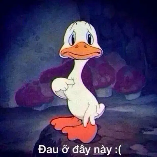 Khám phá loạt meme đau tim 108+ khiến bạn cười ra nước mắt Khám phá loạt meme đau tim 108+ khiến bạn cười ra nước mắt