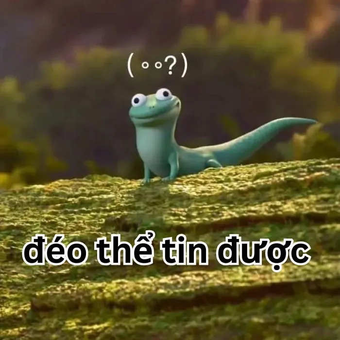 Tuyển tập 138+ meme đéo tin gây cười cực mạnh Tuyển tập 138+ meme đéo tin gây cười cực mạnh